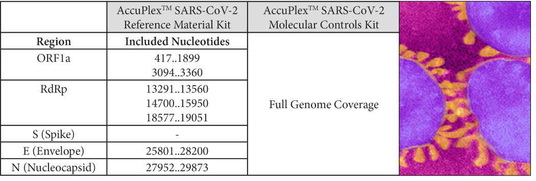 SARS-CoV-2 Region Table